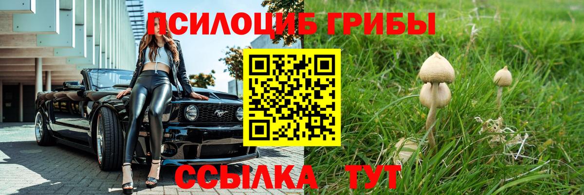 Псилоцибиновые грибы Psilocybine cubensis Хабаровск