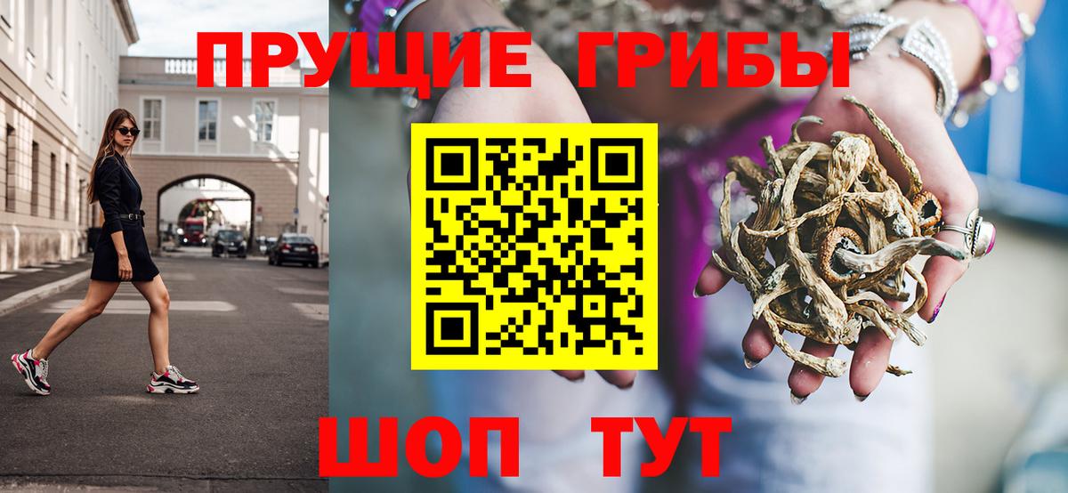 цены наркотик  Хабаровск  Псилоцибиновые грибы GOLDEN TEACHER 